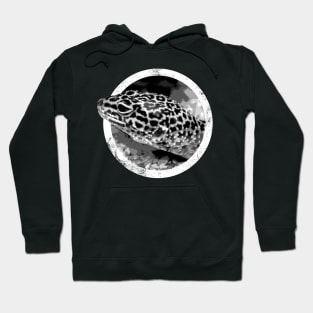 Distressed Pet Leopard Gecko Icon Hoodie